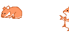 hamster_eb-058.gif