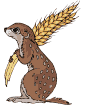 marmotte_eb-011.gif