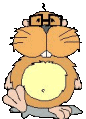 marmotte_eb-012.gif