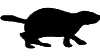marmotte_eb-018.gif