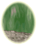 marmotte_eb-028.gif