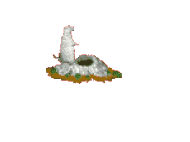marmotte_eb-047.gif