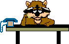 raton-laveur_eb-020.gif