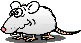 souris_eb-052.gif