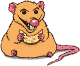 souris_eb-055.gif