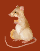 souris_eb-154.gif