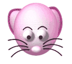 souris_eb-158.gif