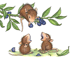 souris_eb-217.gif