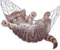 chaton_eb-072.gif