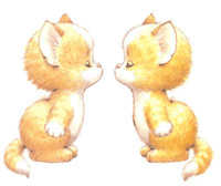 chaton_eb-074.gif