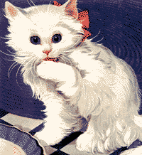 chaton_eb-079.gif