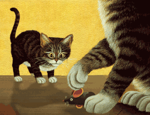 chaton_eb-108.gif