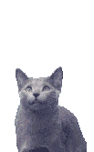 chat_eb-134.gif