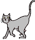 chat_eb-181.gif