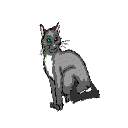 chat_eb-189.gif