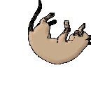 chat_eb-190.gif