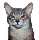 chat_eb-196.gif