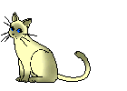 chat_eb-200.gif