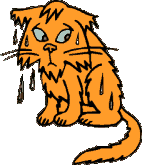 chat_eb-205.gif
