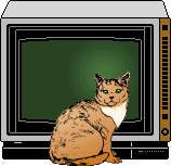 chat_eb-239.gif