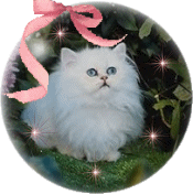 chat_eb-249.gif