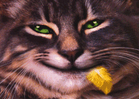 chat_eb-275.gif