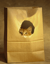 chat_eb-282.gif