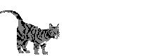 chat_eb-291.gif