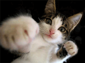 chat_eb-313.gif
