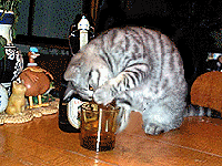 chat_eb-053.gif