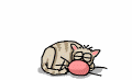 chat_eb-007.gif
