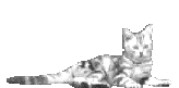 chat_eb-017.gif