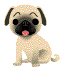 chiot_eb-003.gif