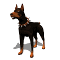 chien_race_eb-077.gif