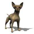 chien_race_eb-097.gif