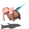 elephant_eb-011.gif
