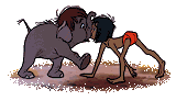 elephant_eb-052.gif