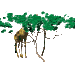 girafe_eb-013.gif