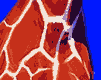 girafe_eb-025.gif