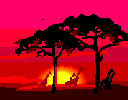 girafe_eb-034.gif