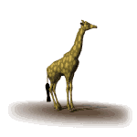 girafe_eb-045.gif