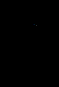 panthere_eb-014.gif