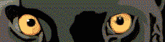 panthere_eb-015.gif