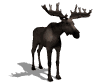 rennes_eb-026.gif