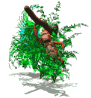 singe_eb-067.gif
