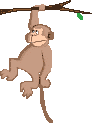 singe_eb-069.gif