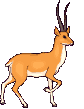 biche_eb-010.gif