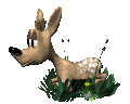 biche_eb-024.gif