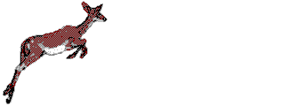 biche_eb-032.gif