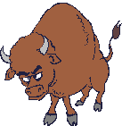 bison_eb-005.gif